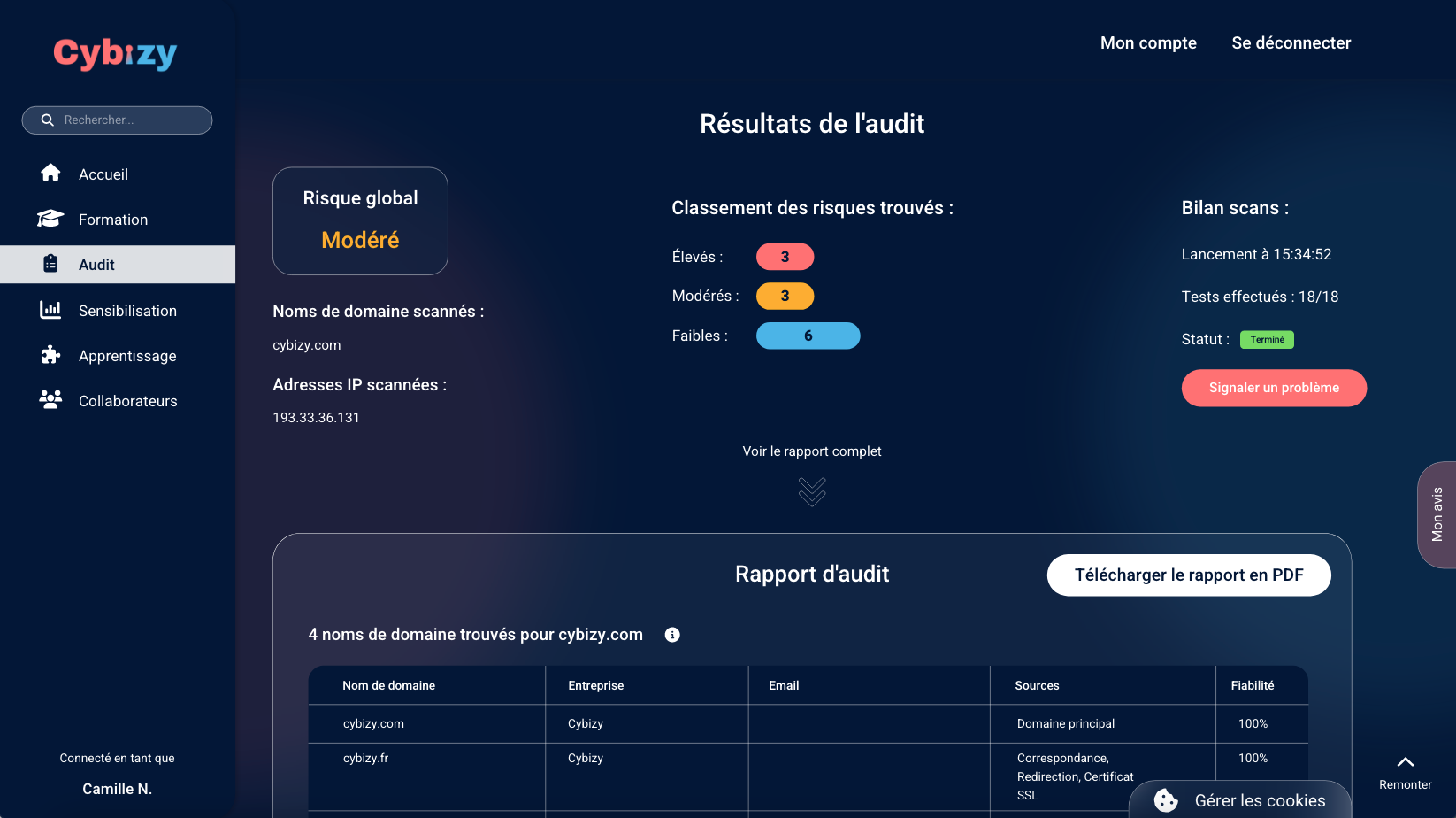 Capture d'écran de l'audit proposé par la plateforme